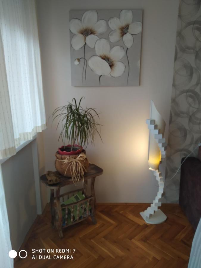 Apartman Ivan 브르드니크 외부 사진
