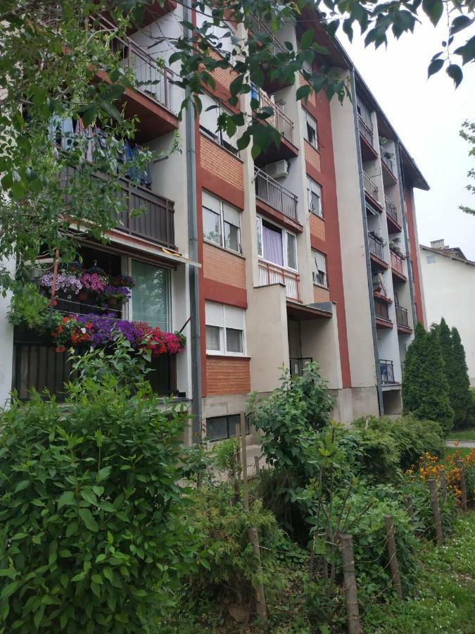 Apartman Ivan 브르드니크 외부 사진